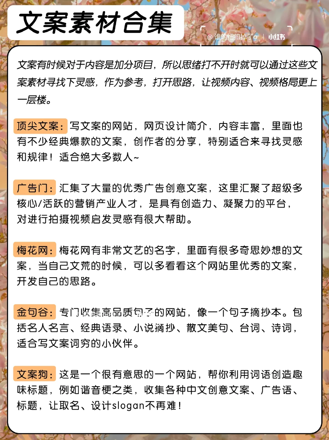 ‼️我不允许你还没有这些自媒体人常用网站