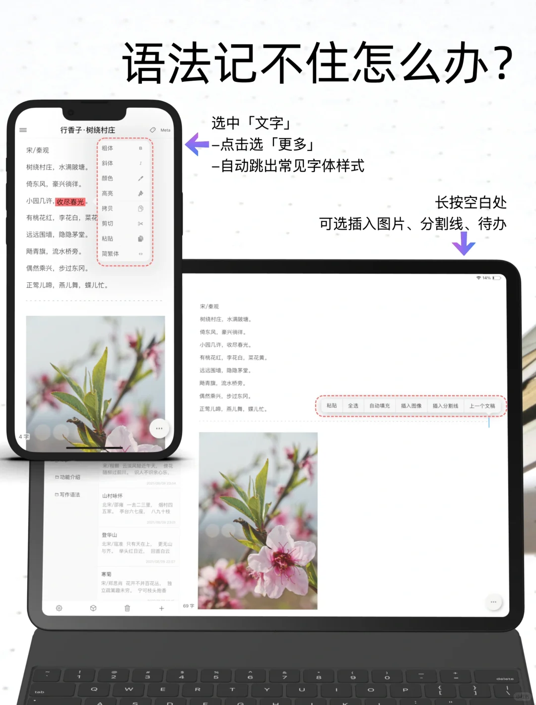 写作APP｜别错过❗️为中文写作优化的笔记工具