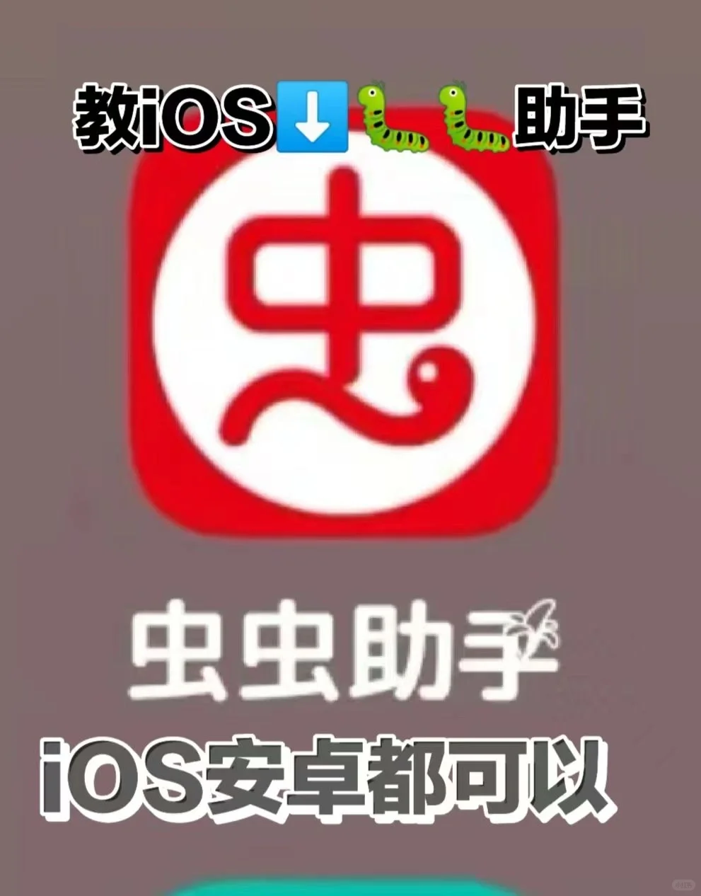 教ios安卓下载🐛🐛助手