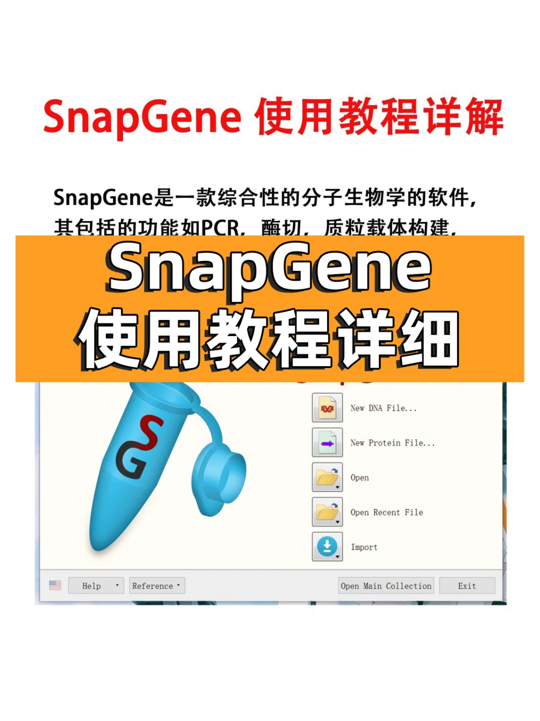 SnapGene软件使用教程【医学科研干货！】