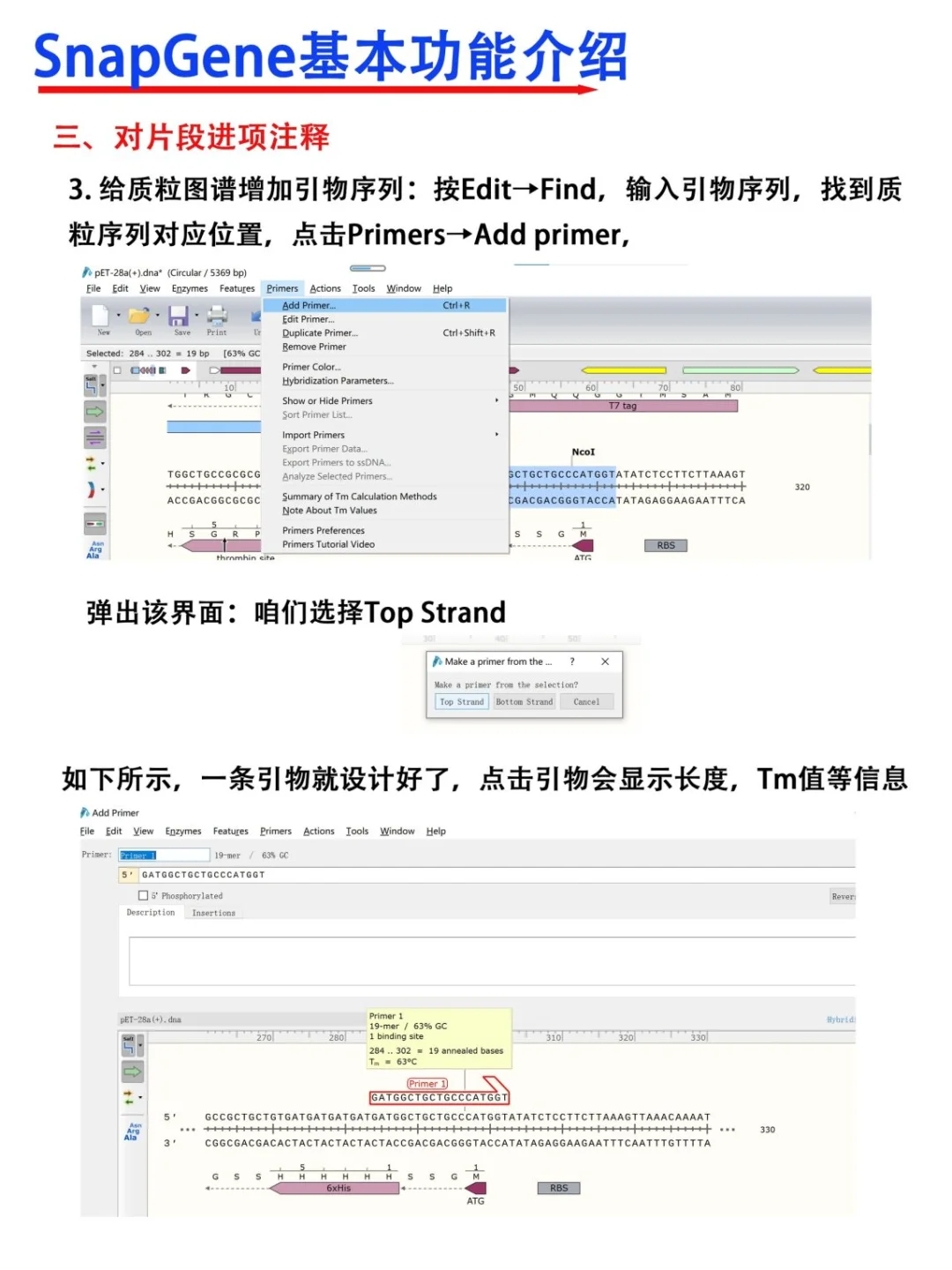 SnapGene软件使用教程【医学科研干货！】