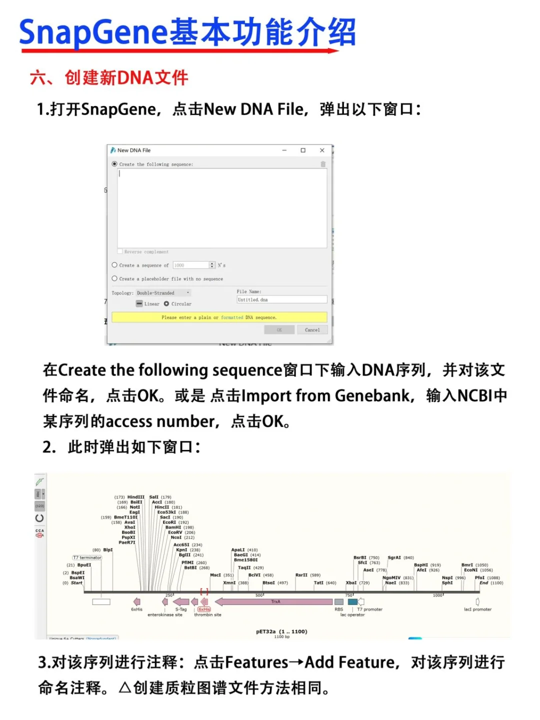 SnapGene软件使用教程【医学科研干货！】