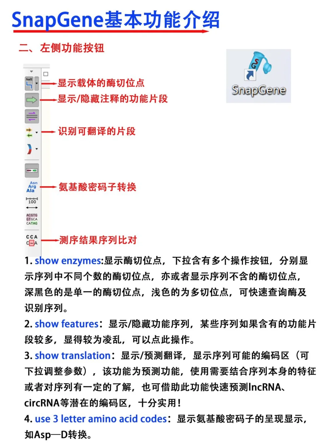 SnapGene软件使用教程【医学科研干货！】