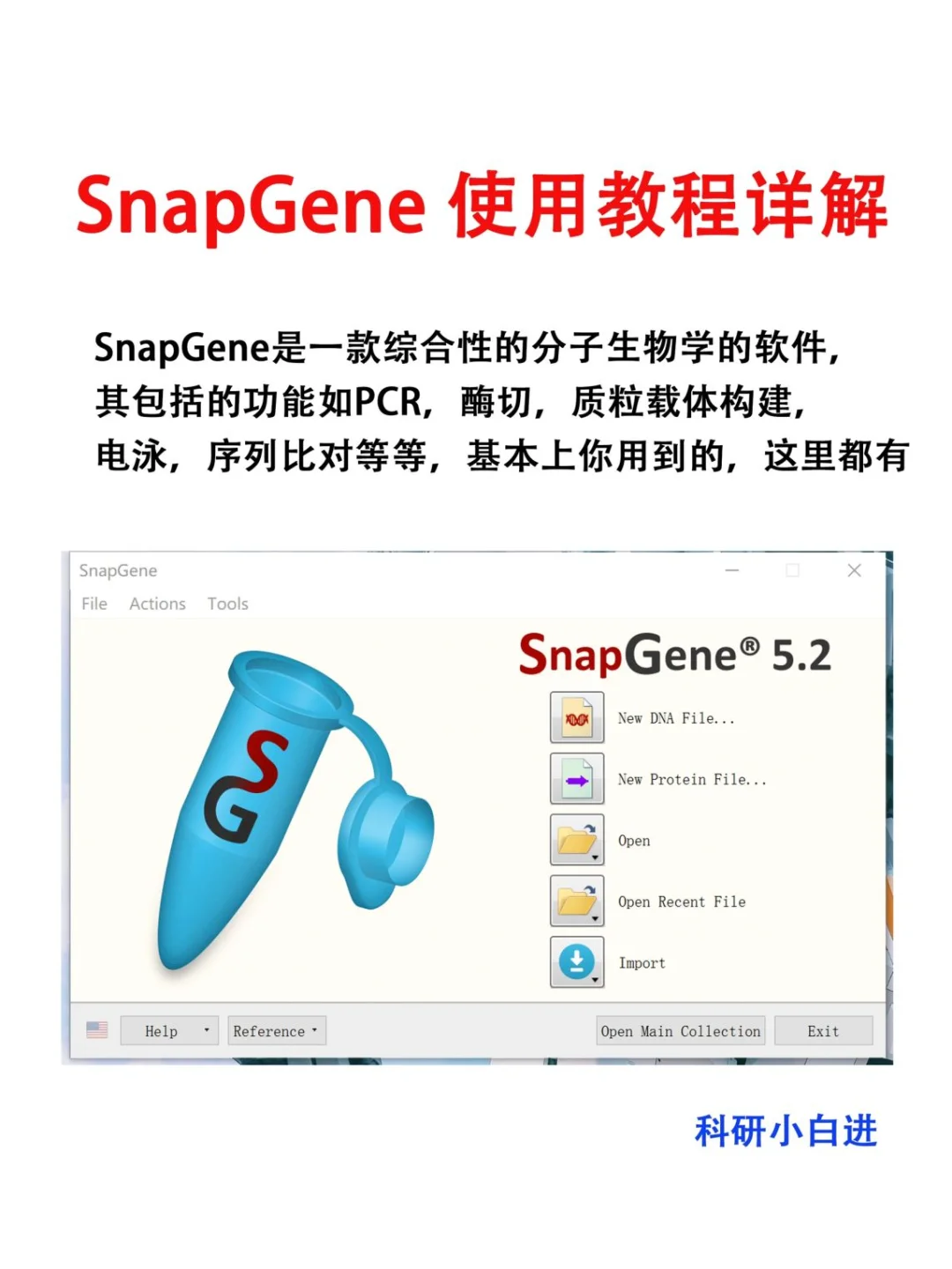 SnapGene软件使用教程【医学科研干货！】