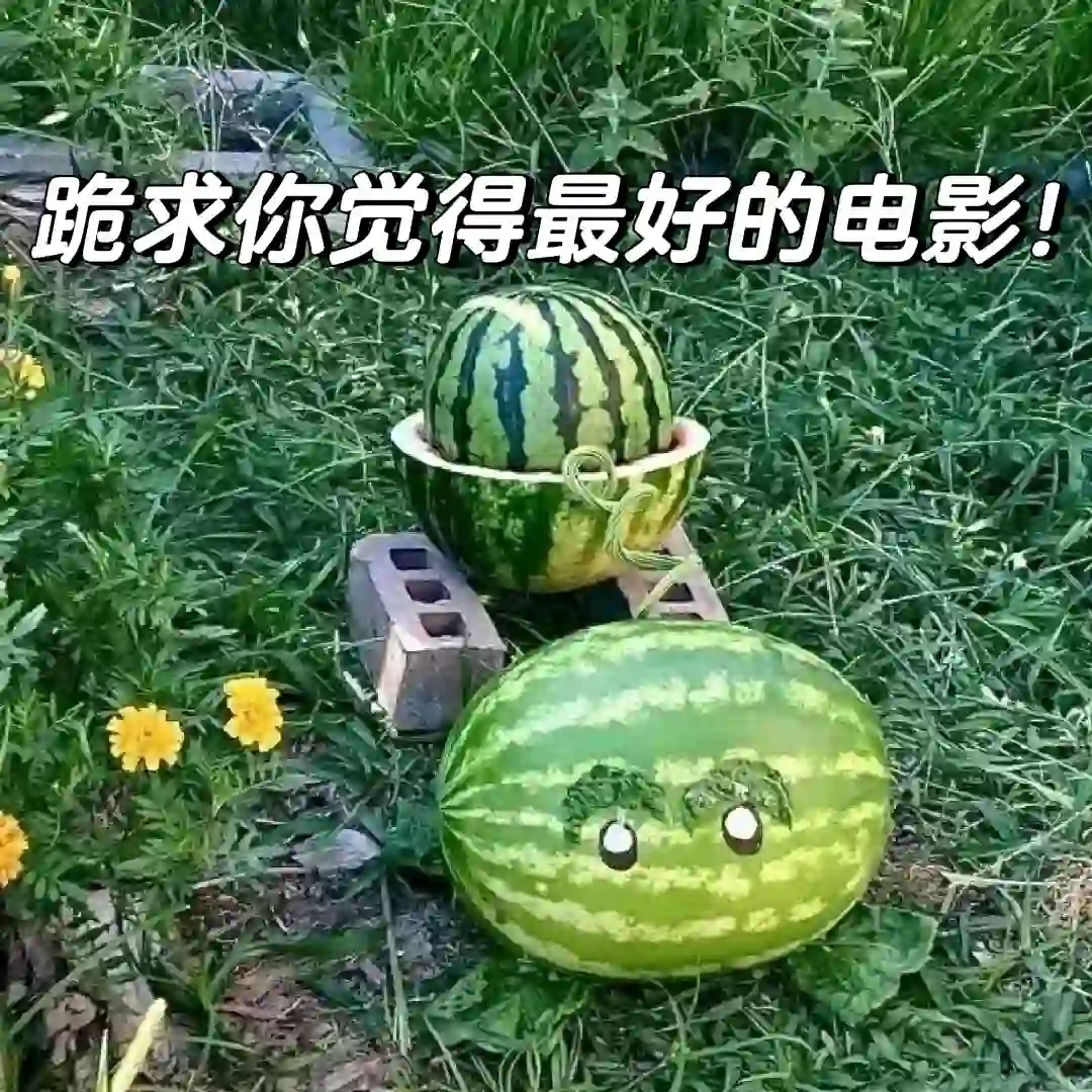 求好看的电影！