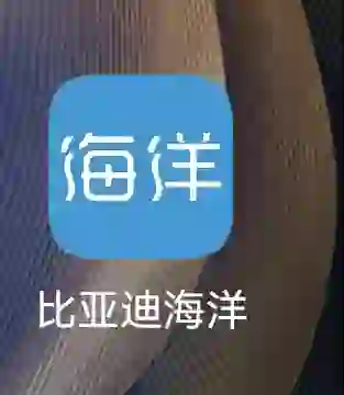 认准这个APP