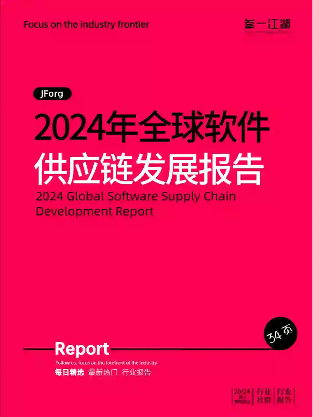 2024年全球软件供应链发展报告