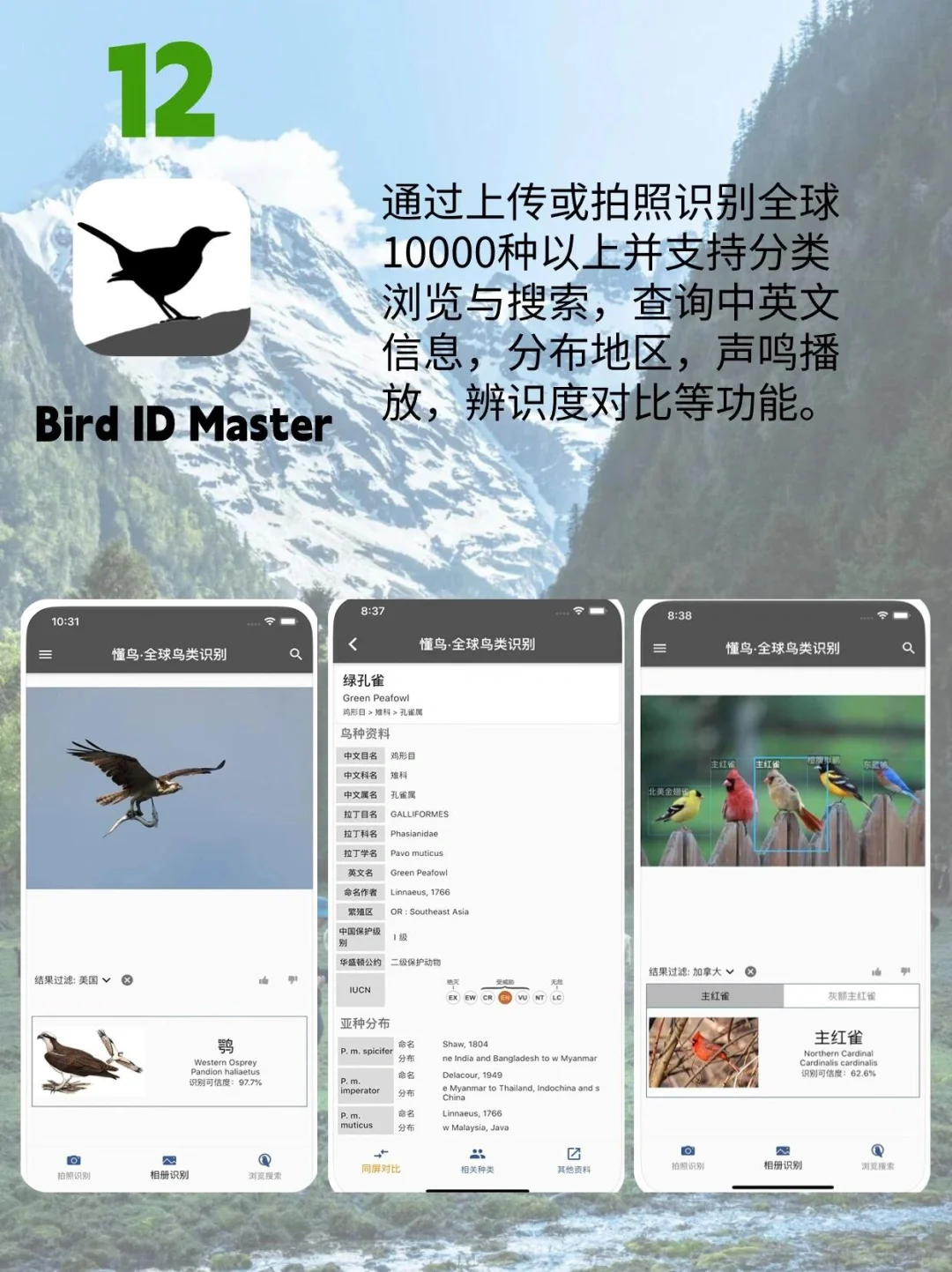 ⛰️宝藏级户外徒步常用APP｜小白建议收藏！！