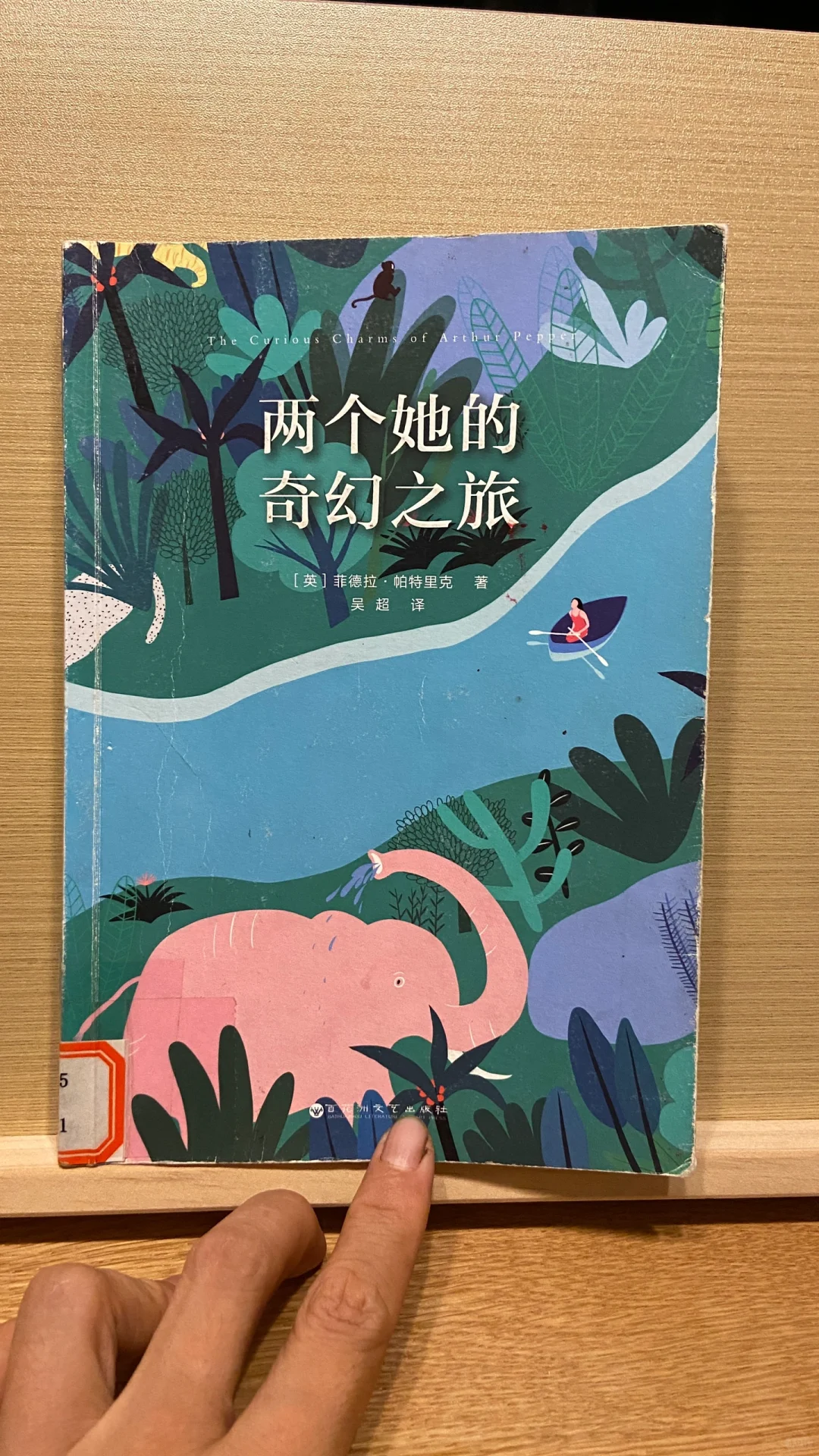 电影《莫娣》小说《两个她的奇幻之旅》推荐