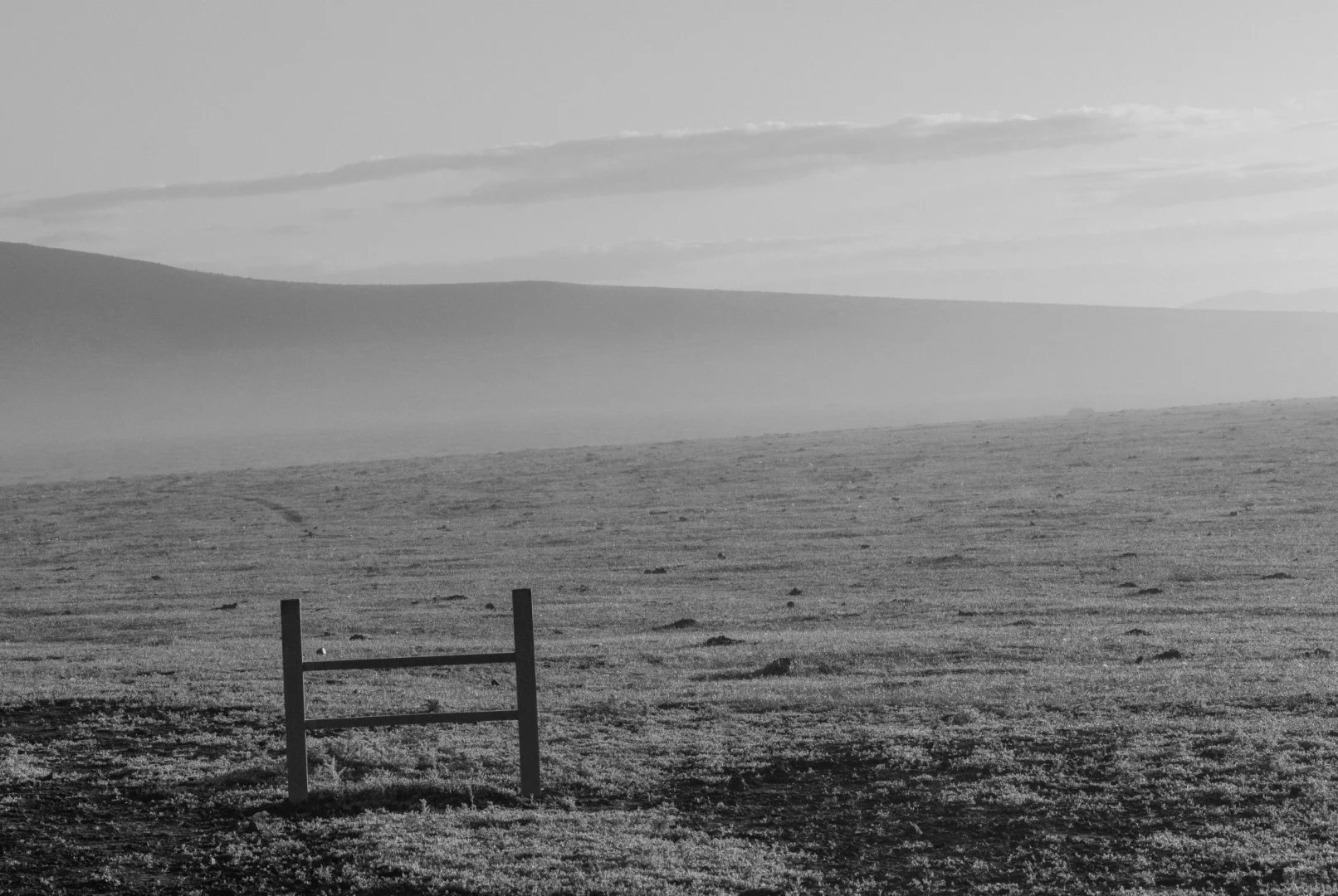《牧场晨雾》电影里的画面