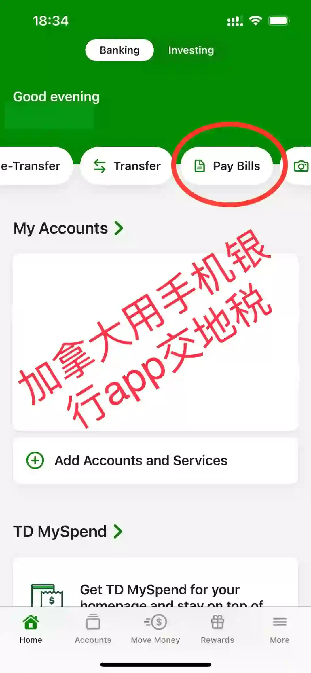 如何用手机银行app交地税