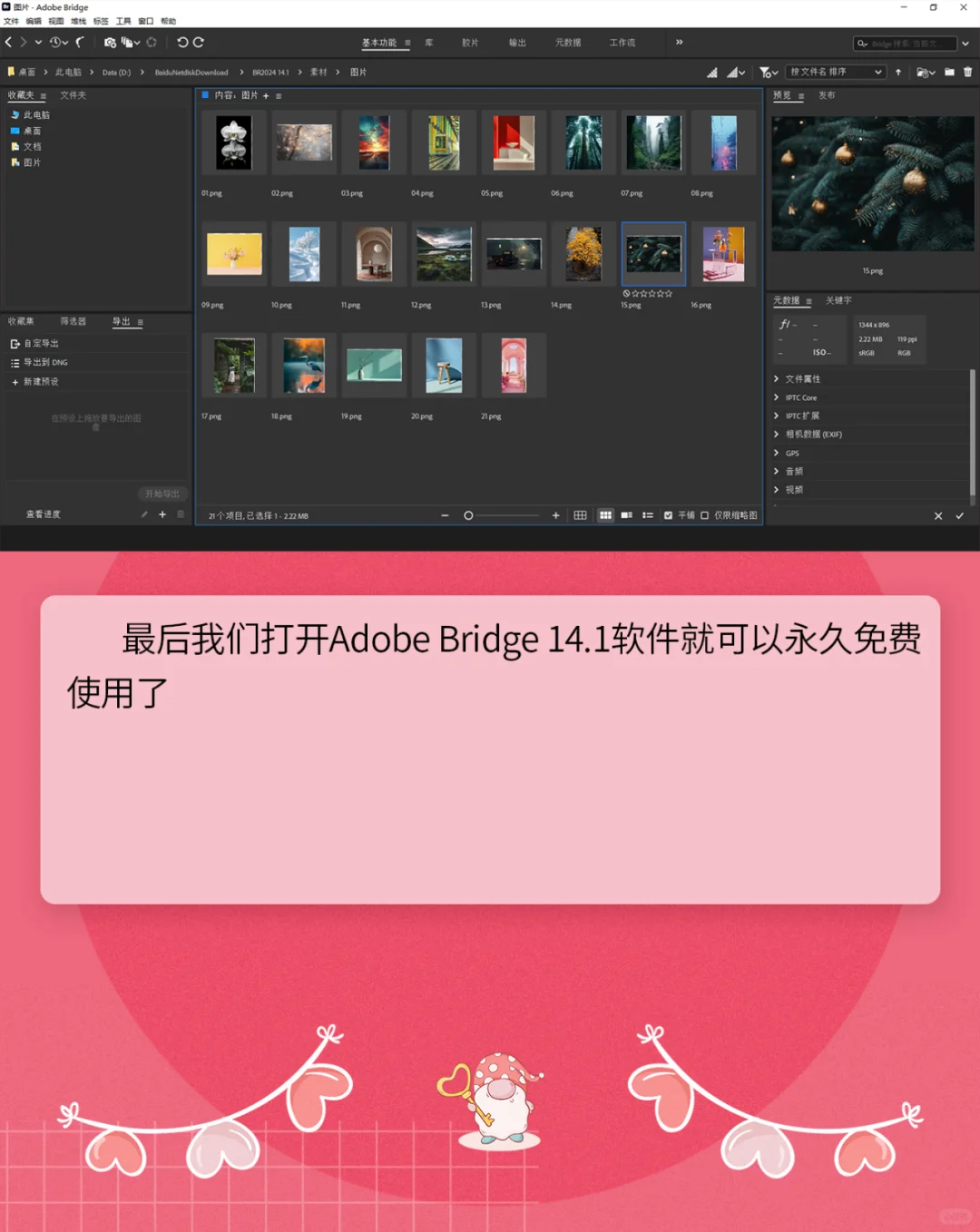 最好Bridge 2024 14.1图片管理软件安装教程