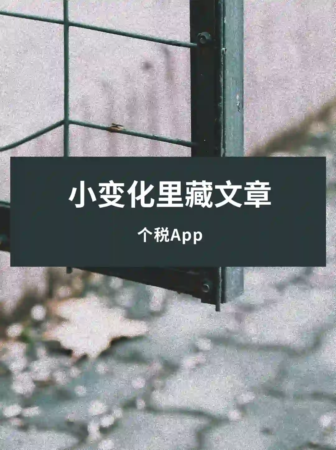 个税App新变化与你有关！