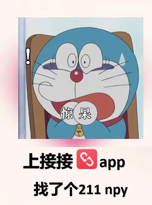 不听劝，去下载了接接app