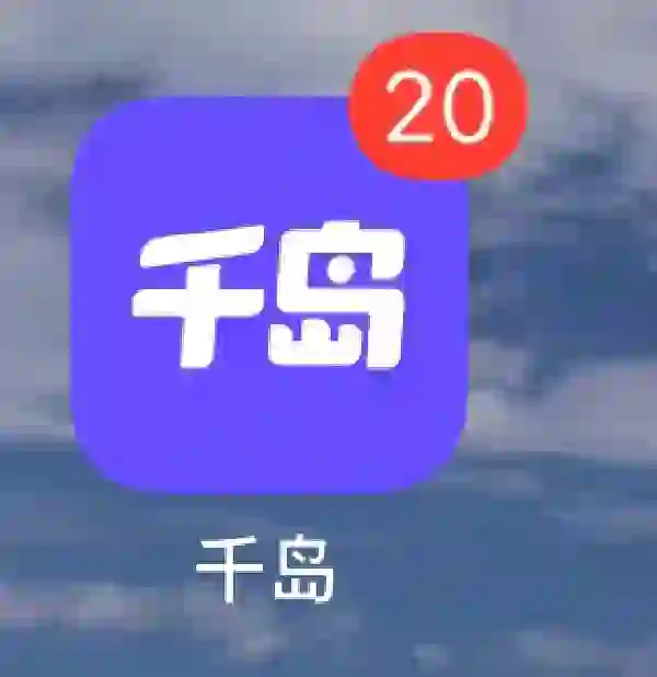 这个app的客服真的特别无语