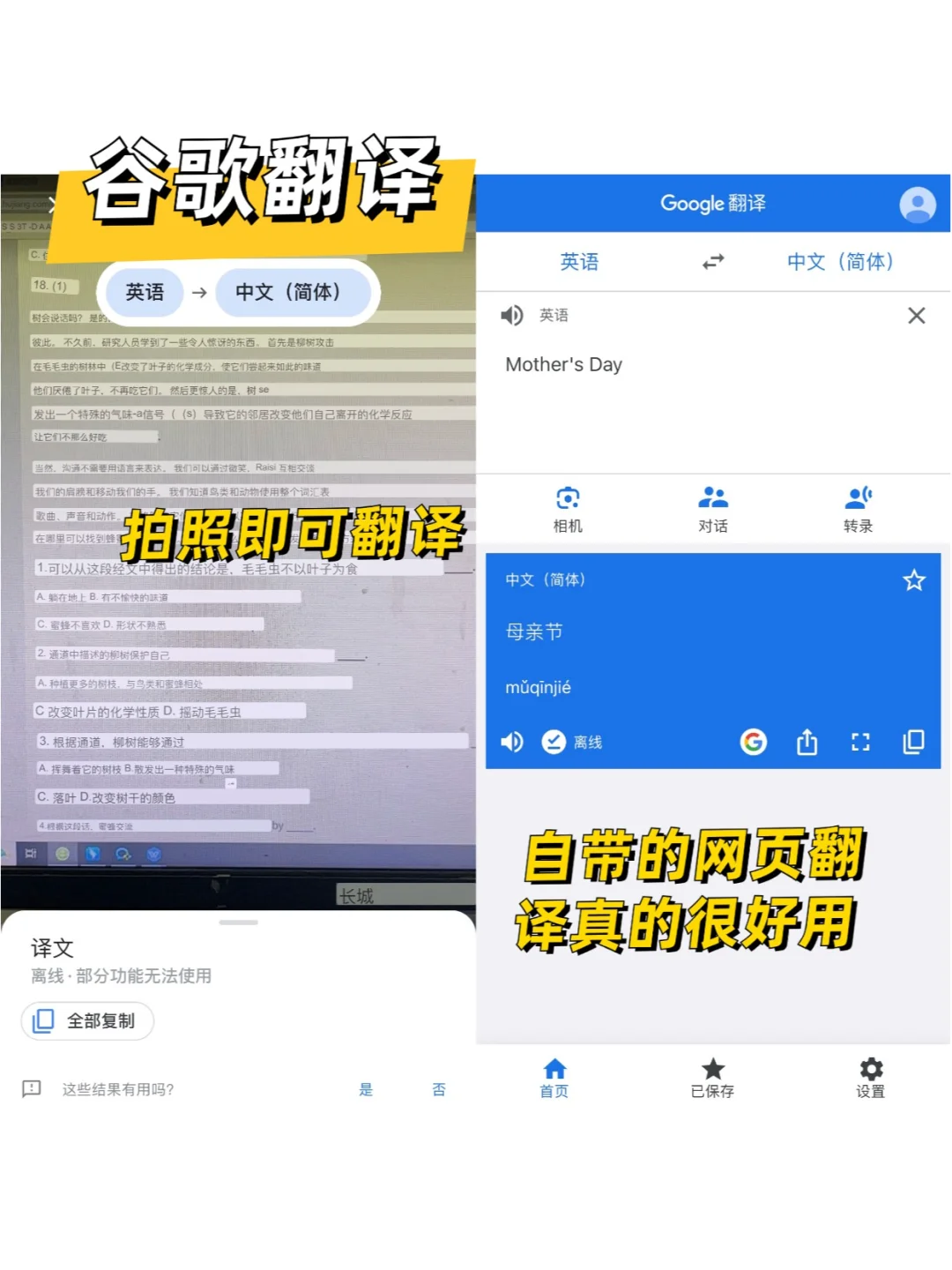 留学生app推荐🌈翻译软件哪家强