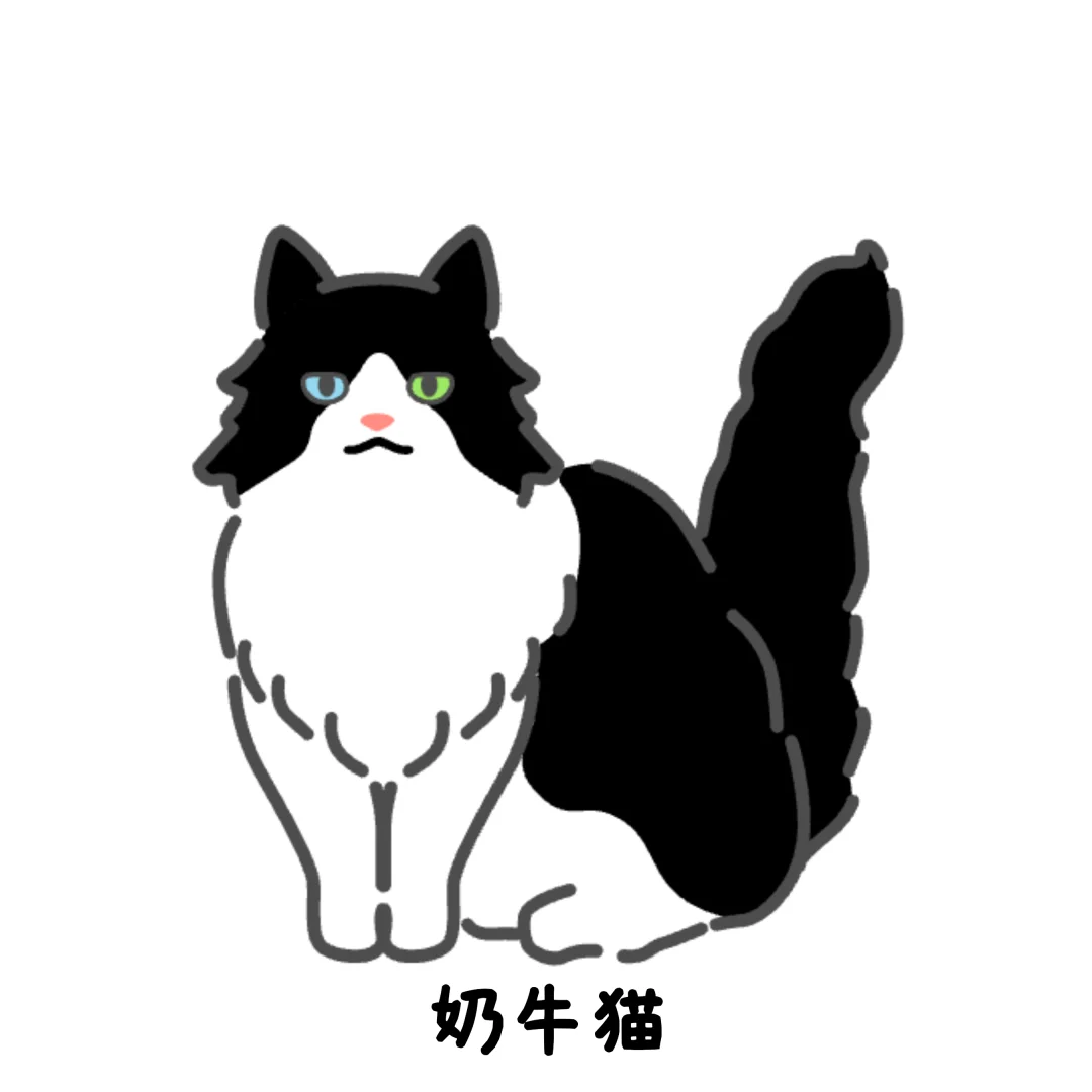 捏猫软件