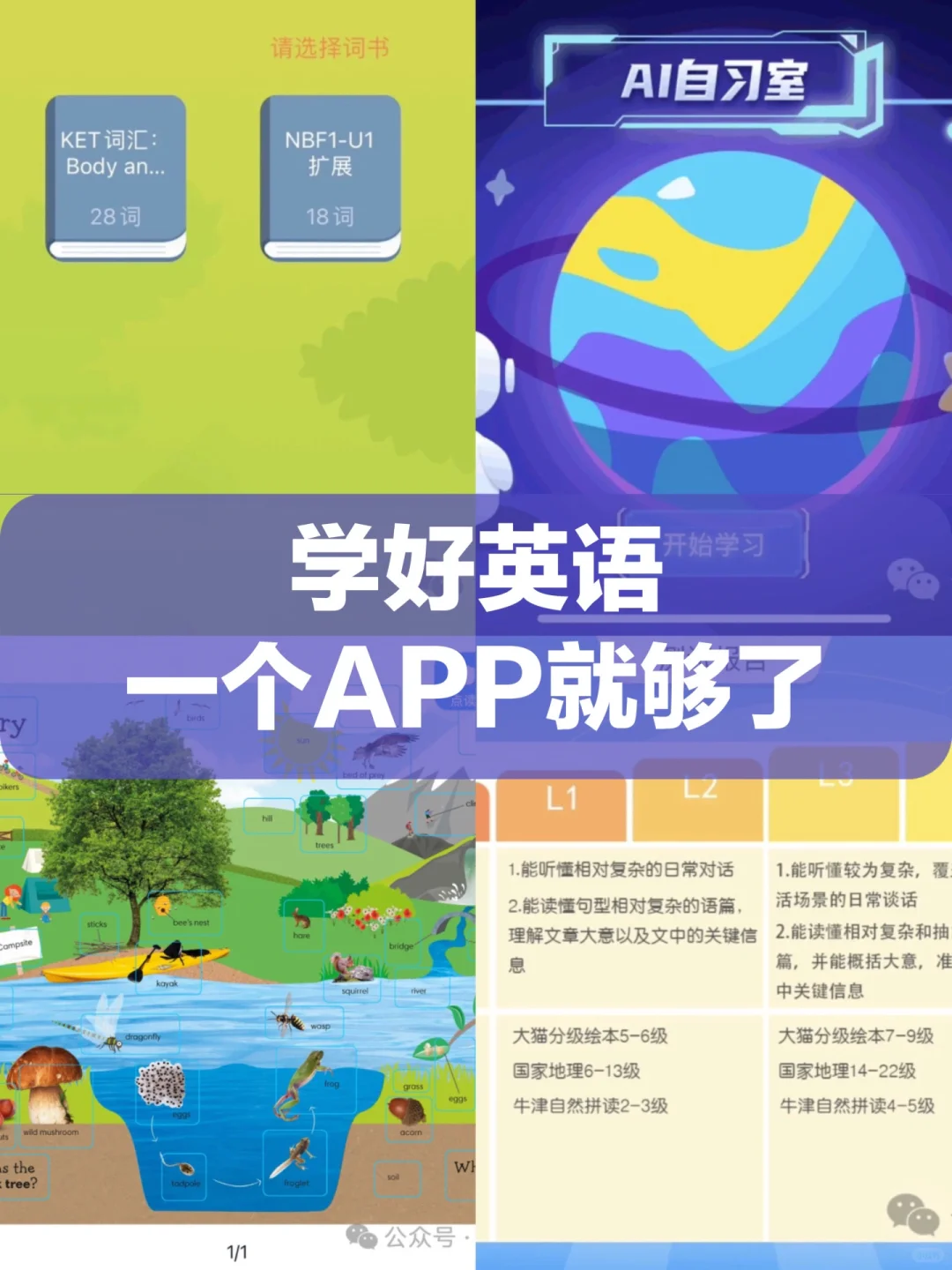 学好英语，一个APP就够了。