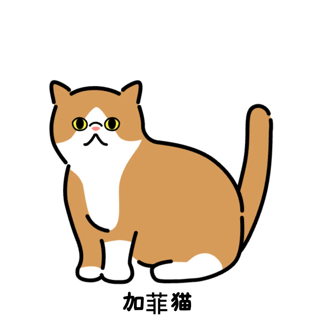 捏猫软件