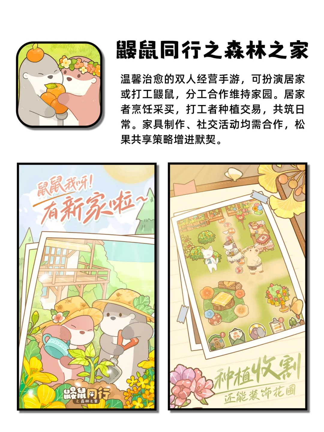 无聊救星奇怪上头不舍得删的神仙宝藏APP