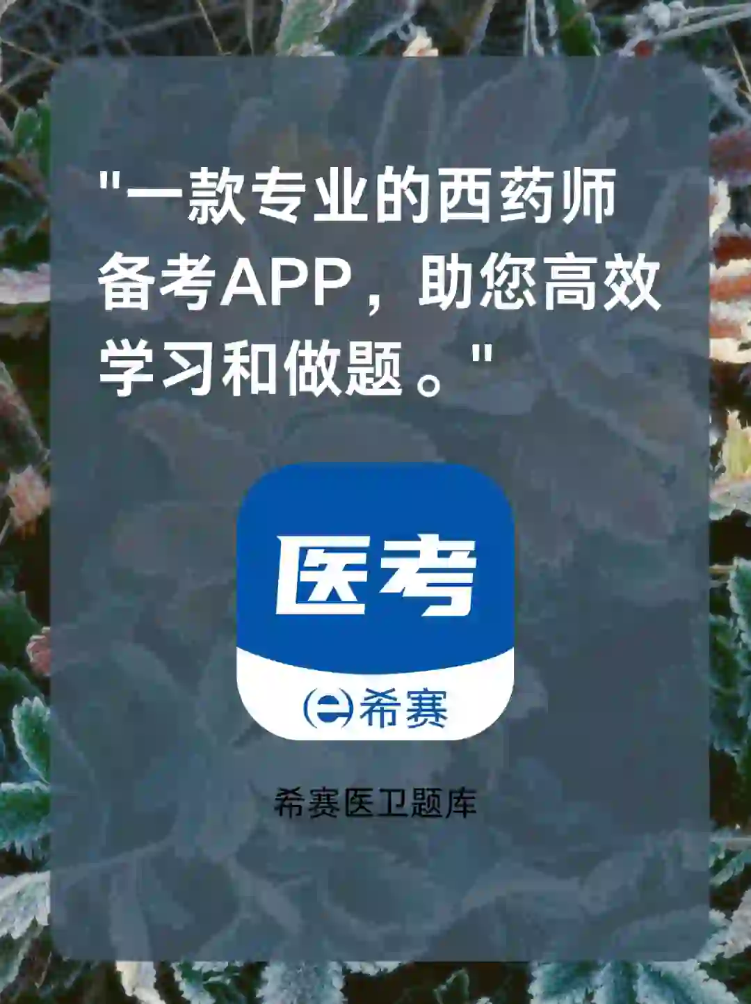 📐 执业西药师刷题APP，高效备考