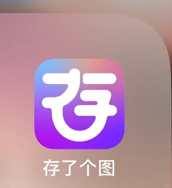 存图