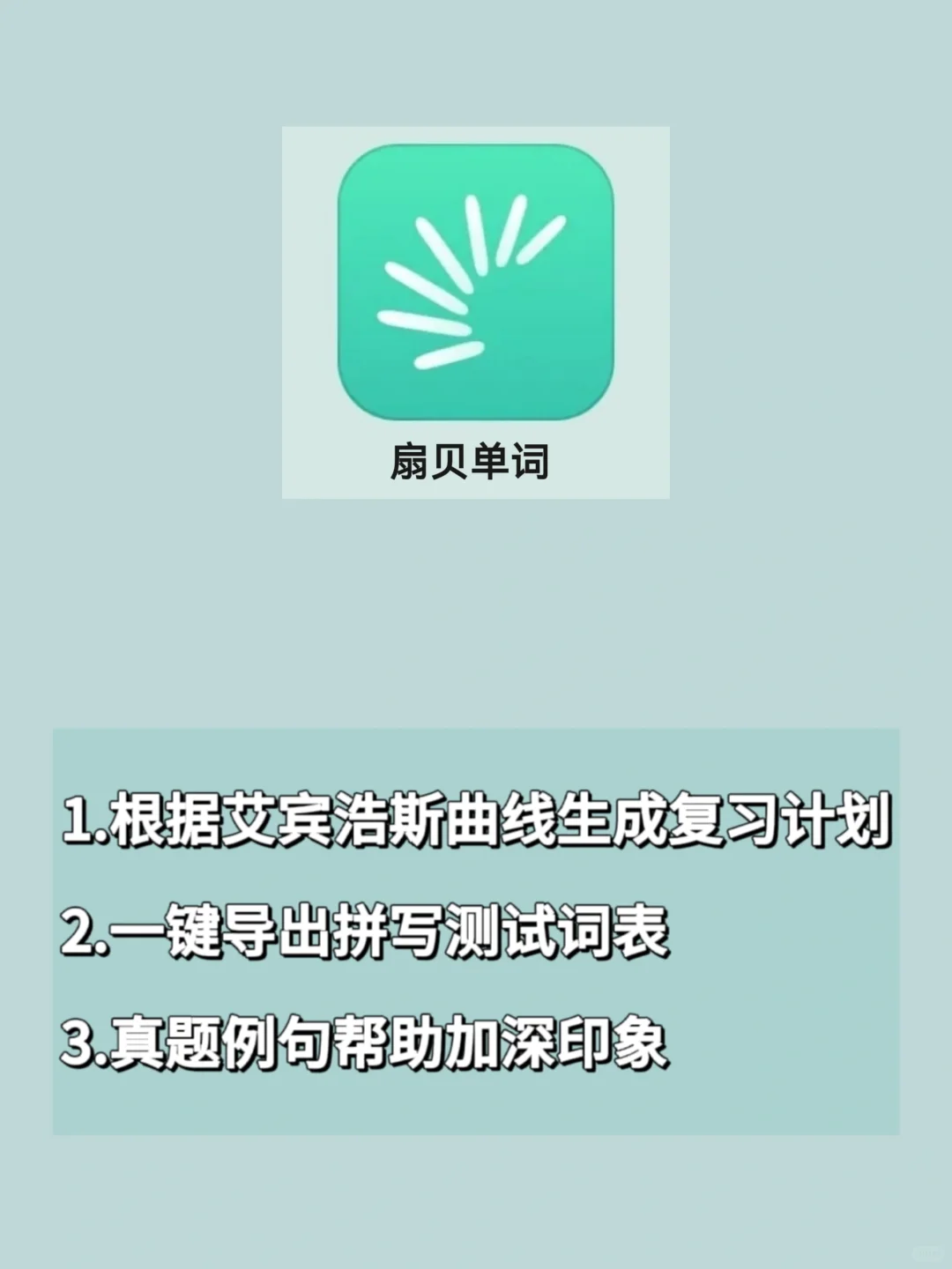 背单词APP怎么选❗️❓看完这篇就知道了