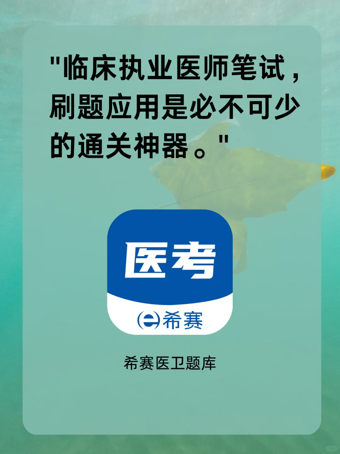 📂 执业药师刷题APP，考点精讲