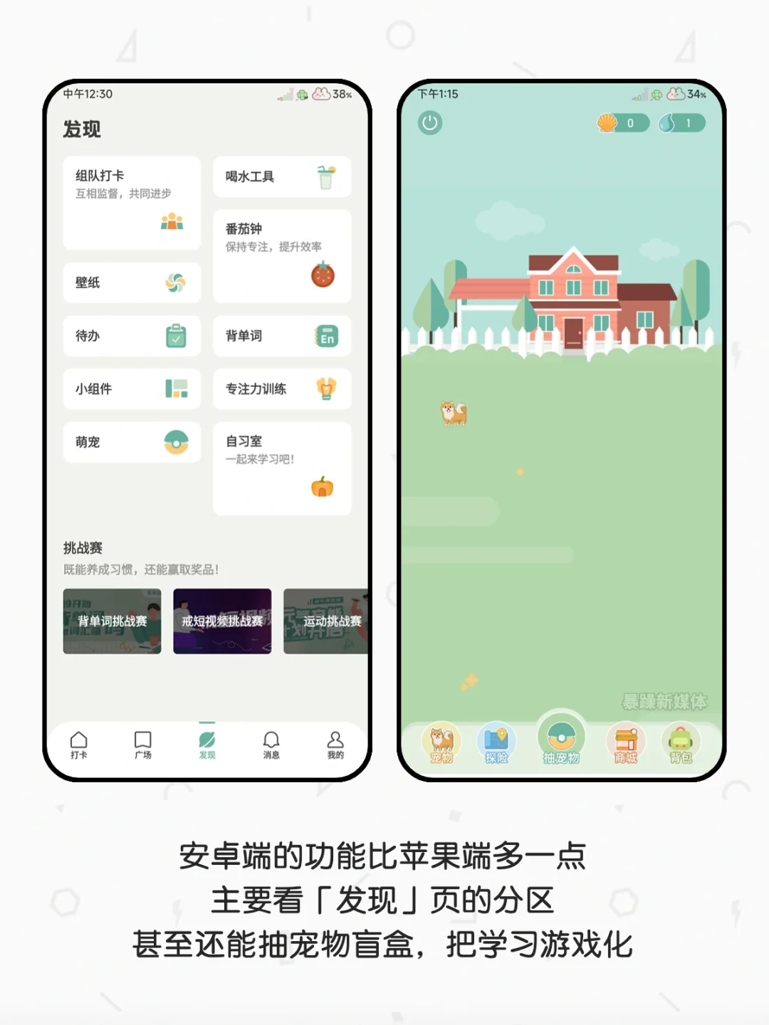 App｜可爱的人当然要用可爱的自律软件✨