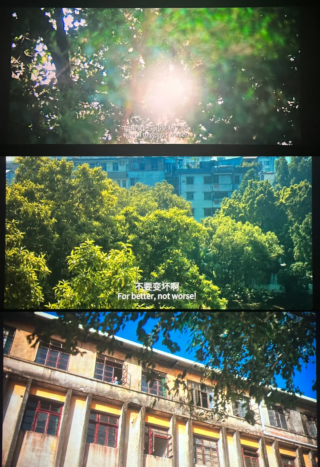 🎬：《适合一个正常的病人去看》