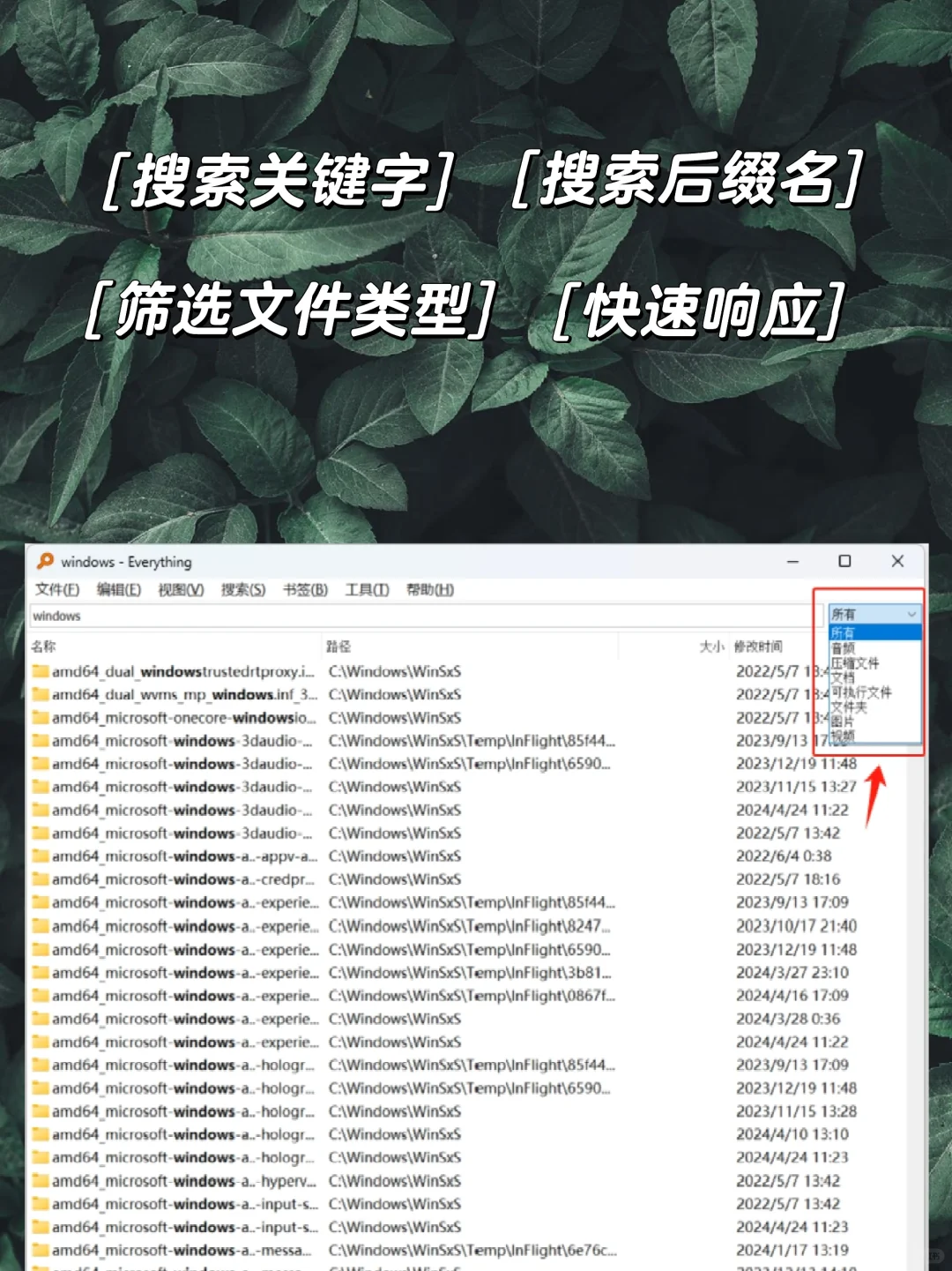 🖥️电脑上怎么搜索文件❓