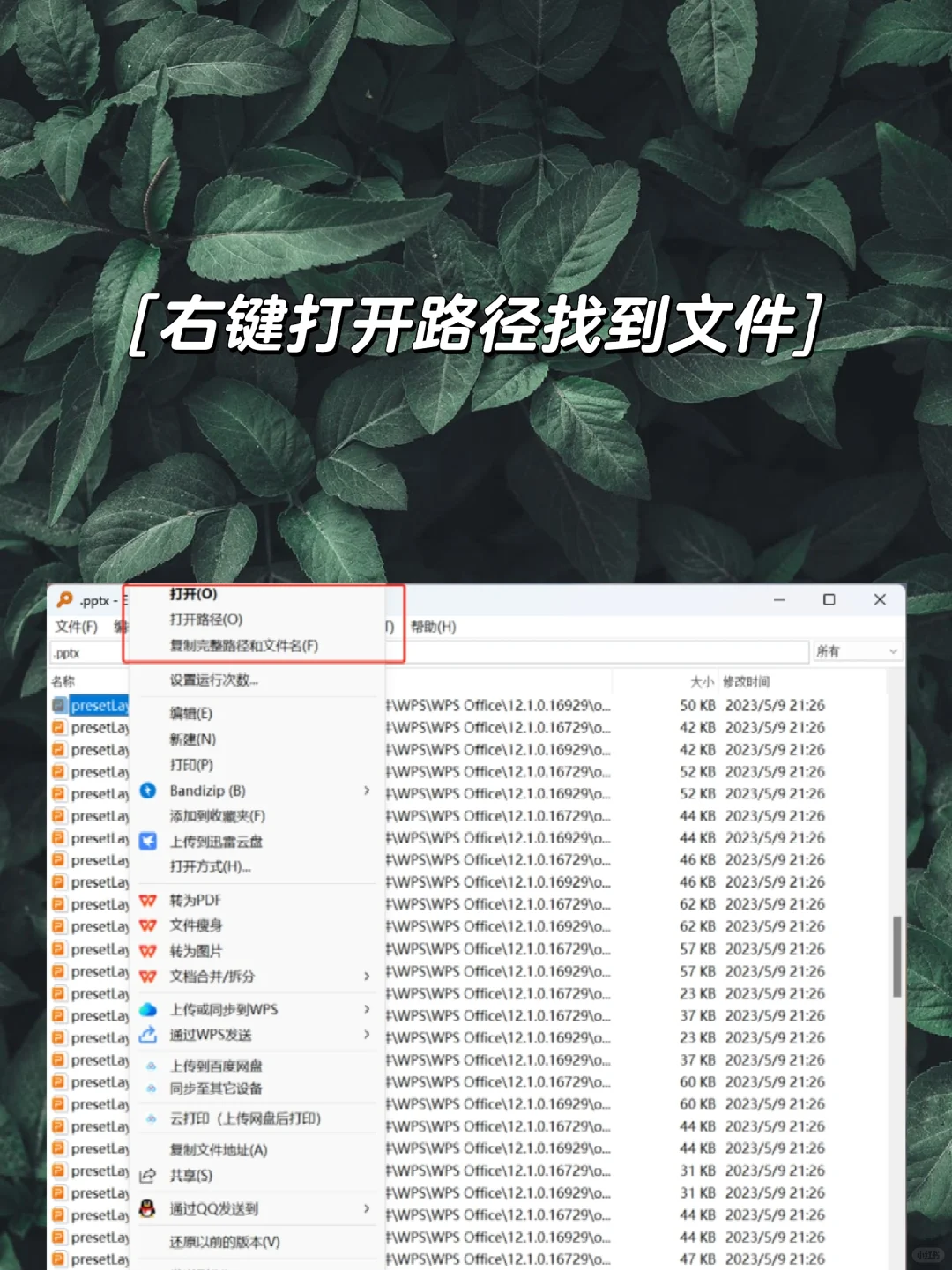 🖥️电脑上怎么搜索文件❓