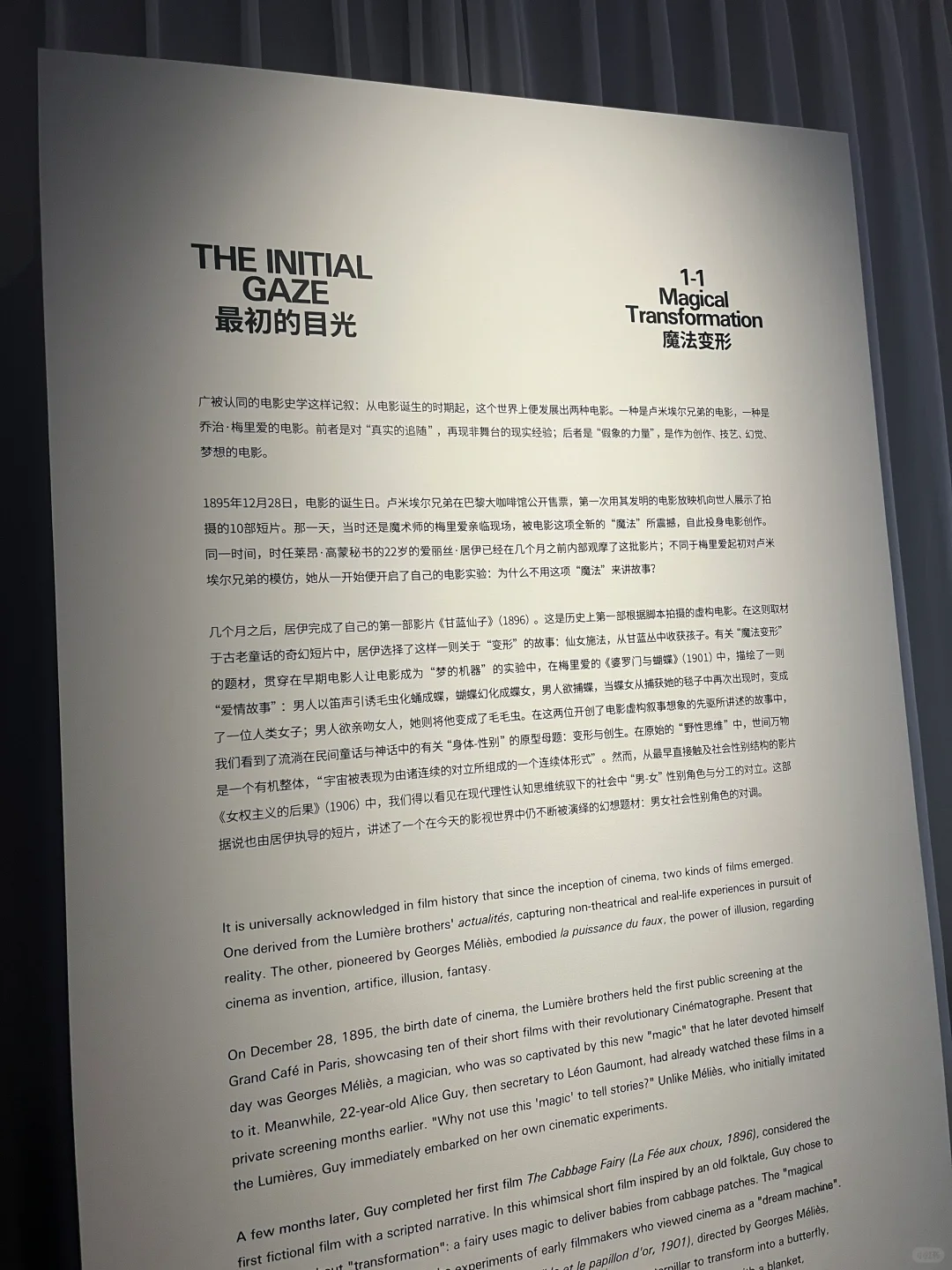 文本：今天看展 中法女性电影