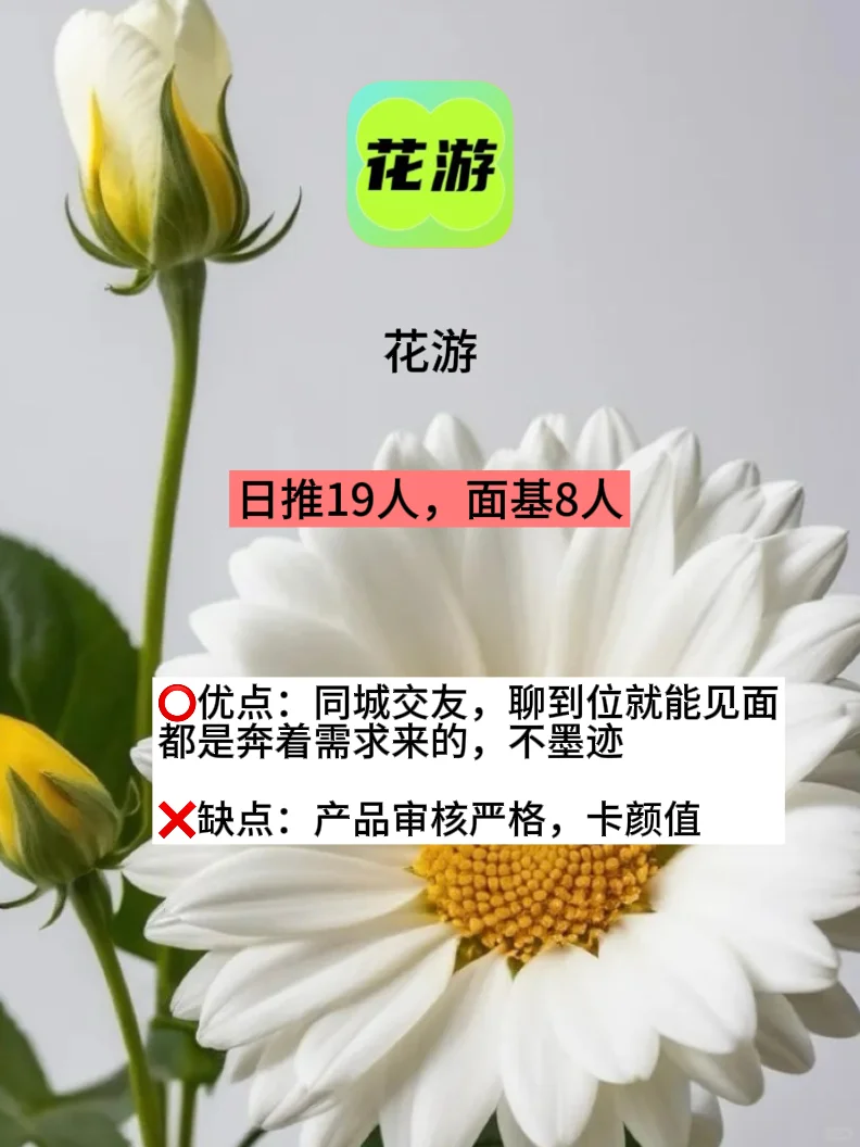 福利来啦🎆近期比较热门得几款软件实测盘点