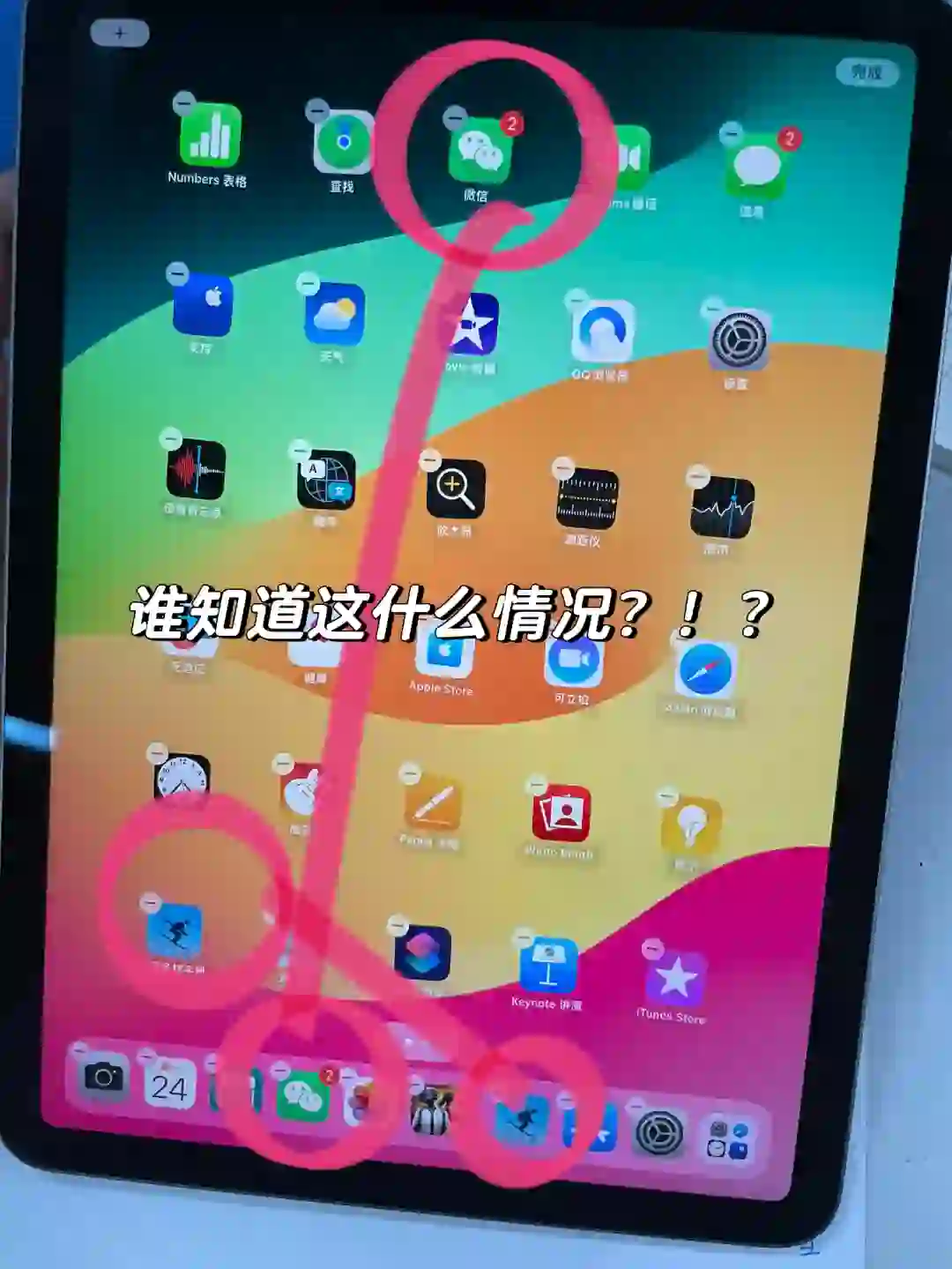 到底什么情况啊 怎么两个一样的app