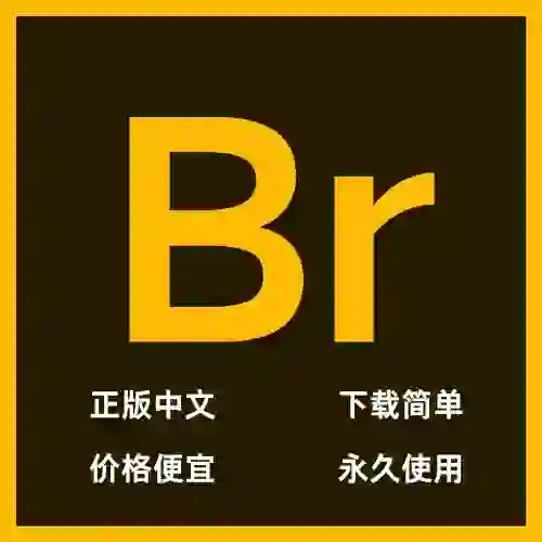 需要Br的小伙伴dd