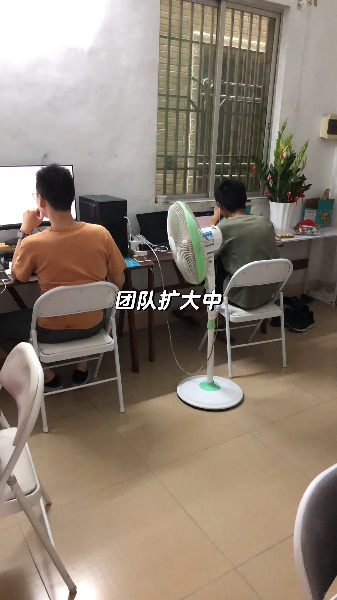 软件开发, 网站建站，前期布局