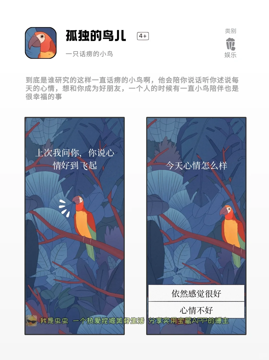 打死不卸载的神仙软件，小众好用的宝藏App