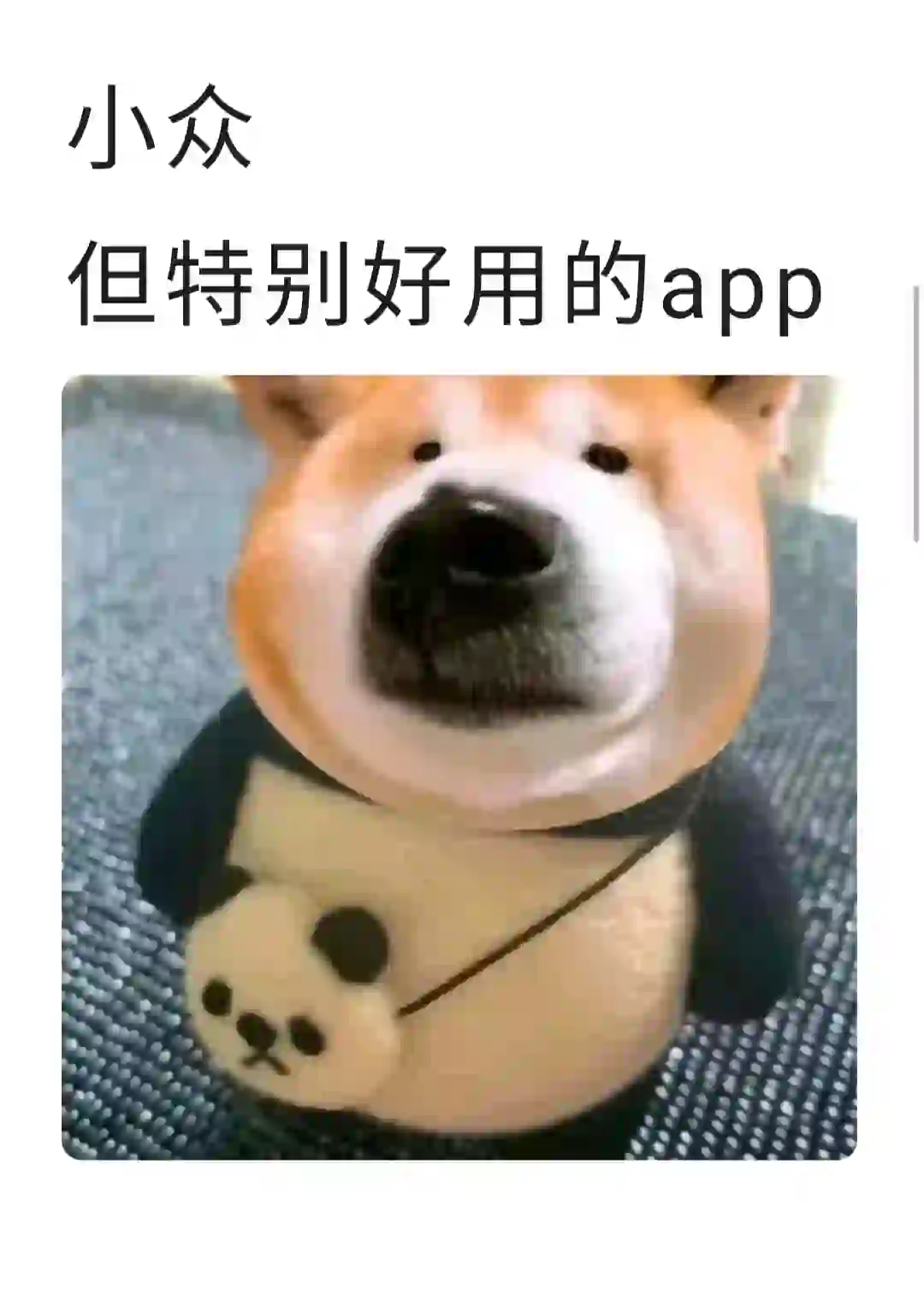 有没有好用的app推荐❓