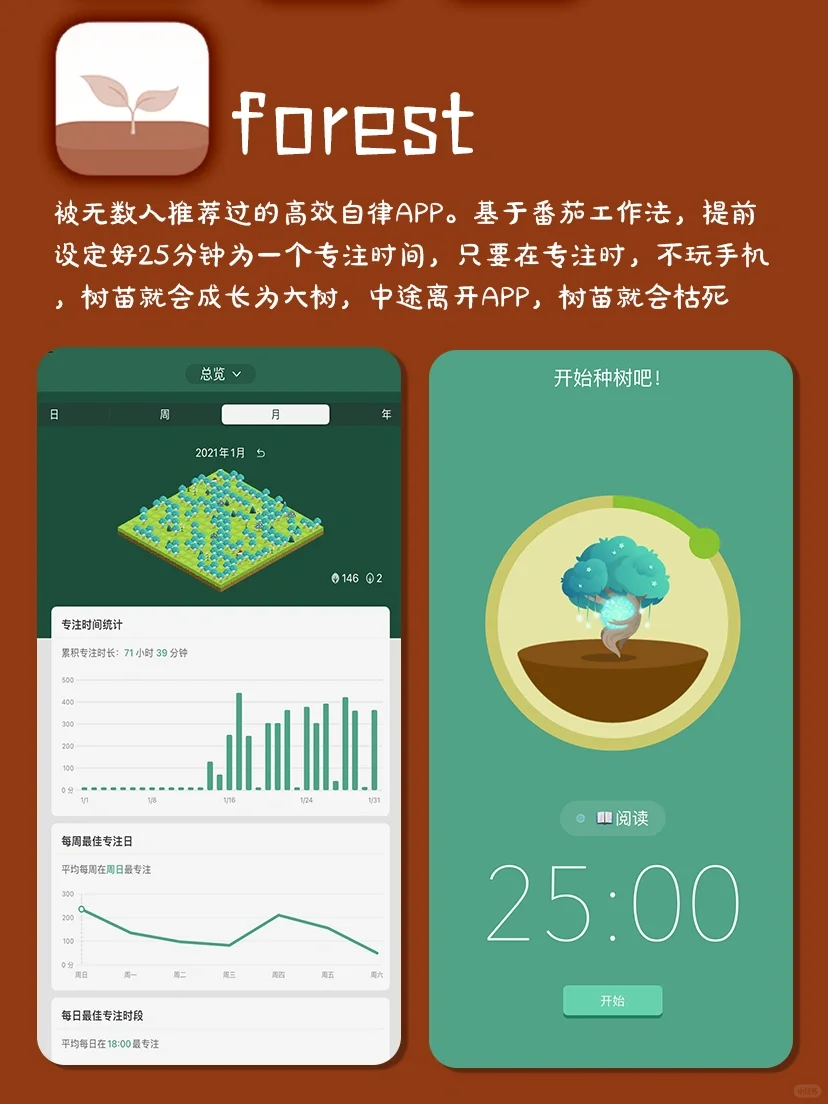 元旦假期内卷学习‼️学霸定计划常用APP