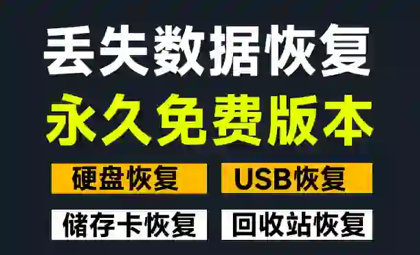 电脑必备！数据恢复软件，恢复丢失的文件