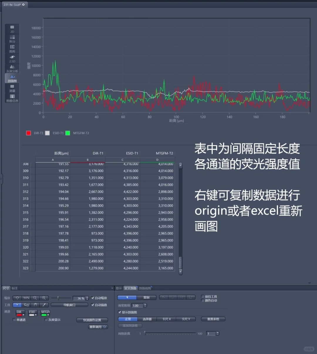 Zen软件｜荧光共定位分析：最简单的方法‼️