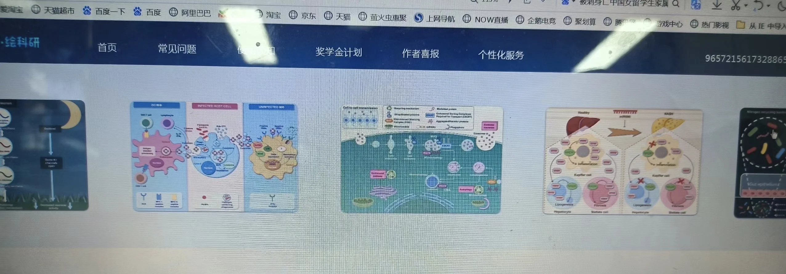 终于找到好用又免费的作图软件啦