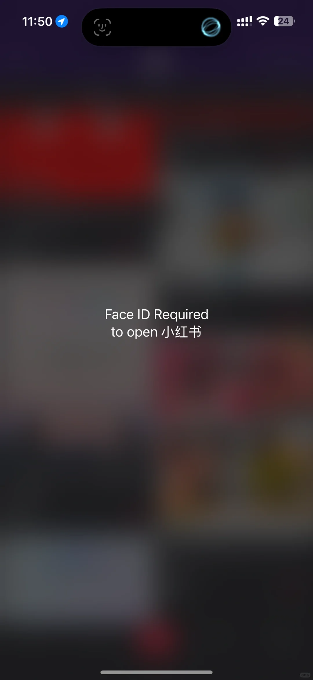 iOS 18 给App“加密”