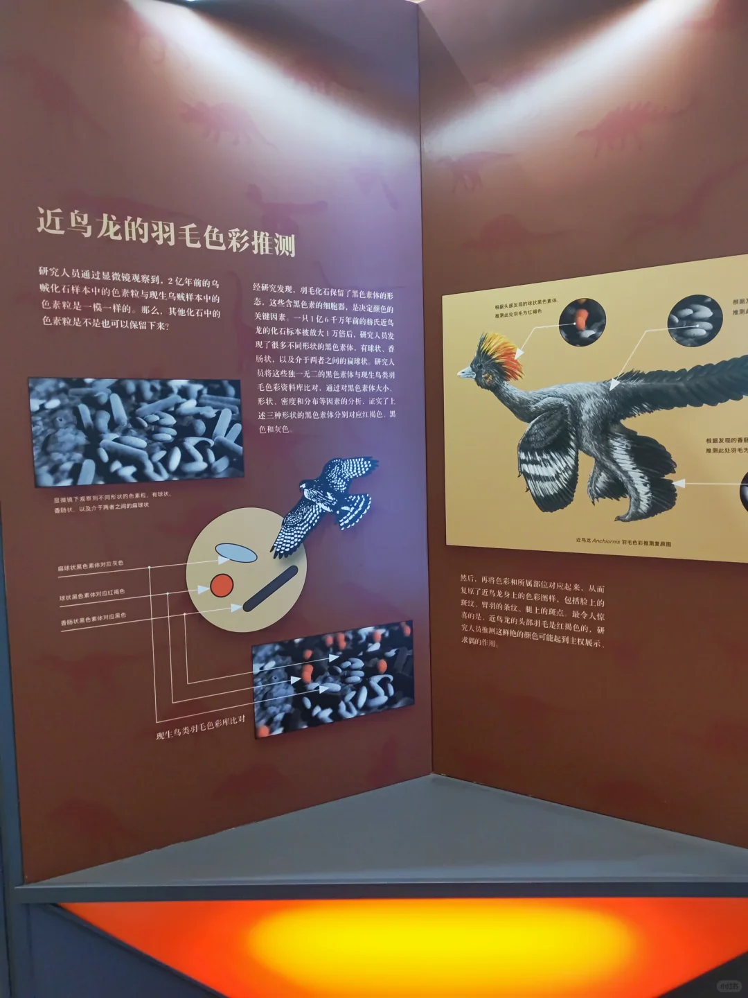 松江科技馆恐龙展3d电影重开了（附时间表）