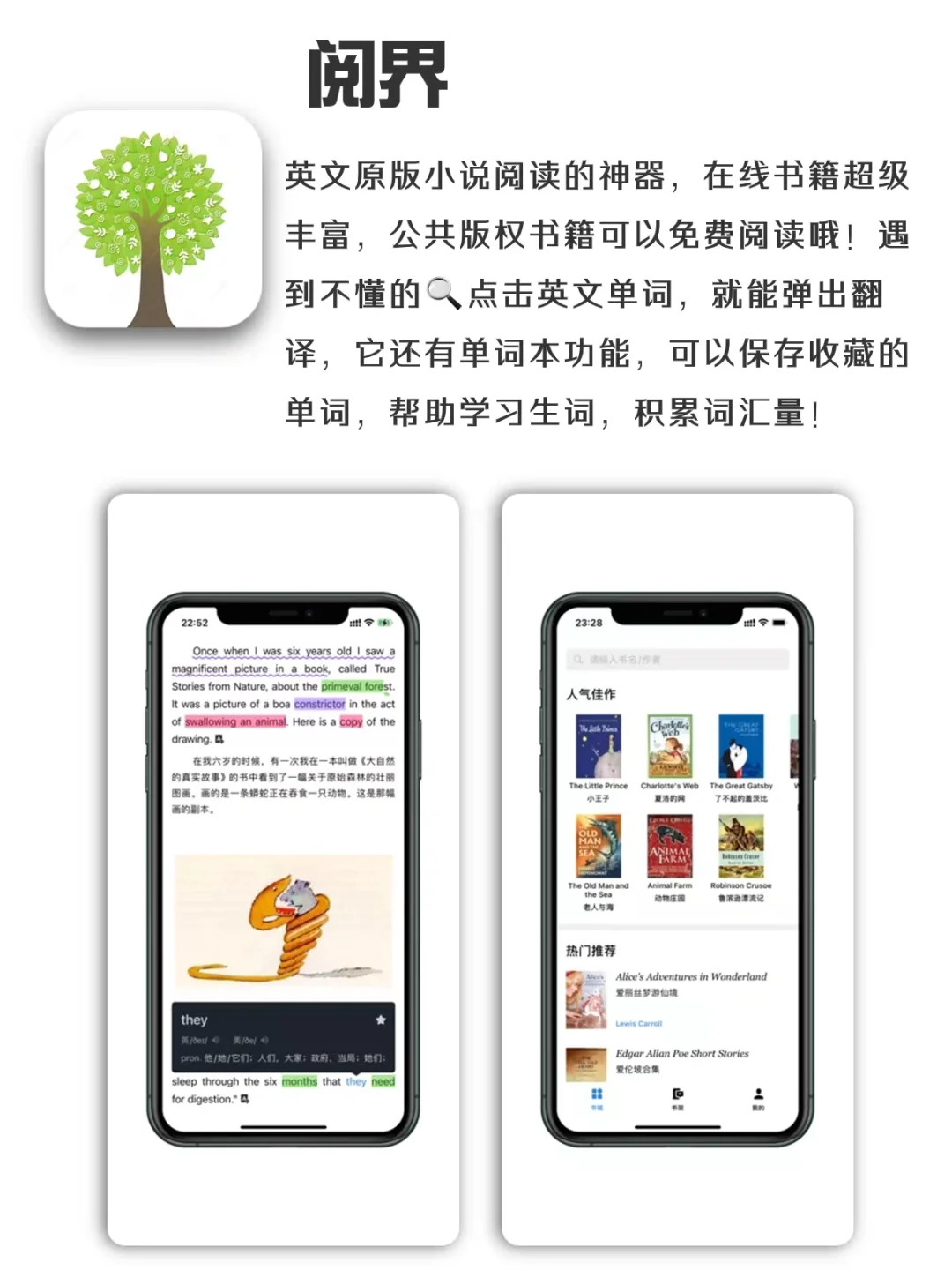 独处时可以玩的宝藏APP，每一款都值得分享