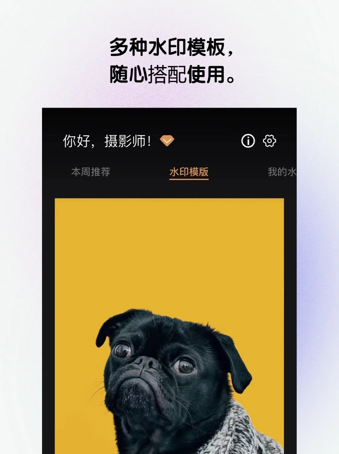 我偷偷上架了一款新App