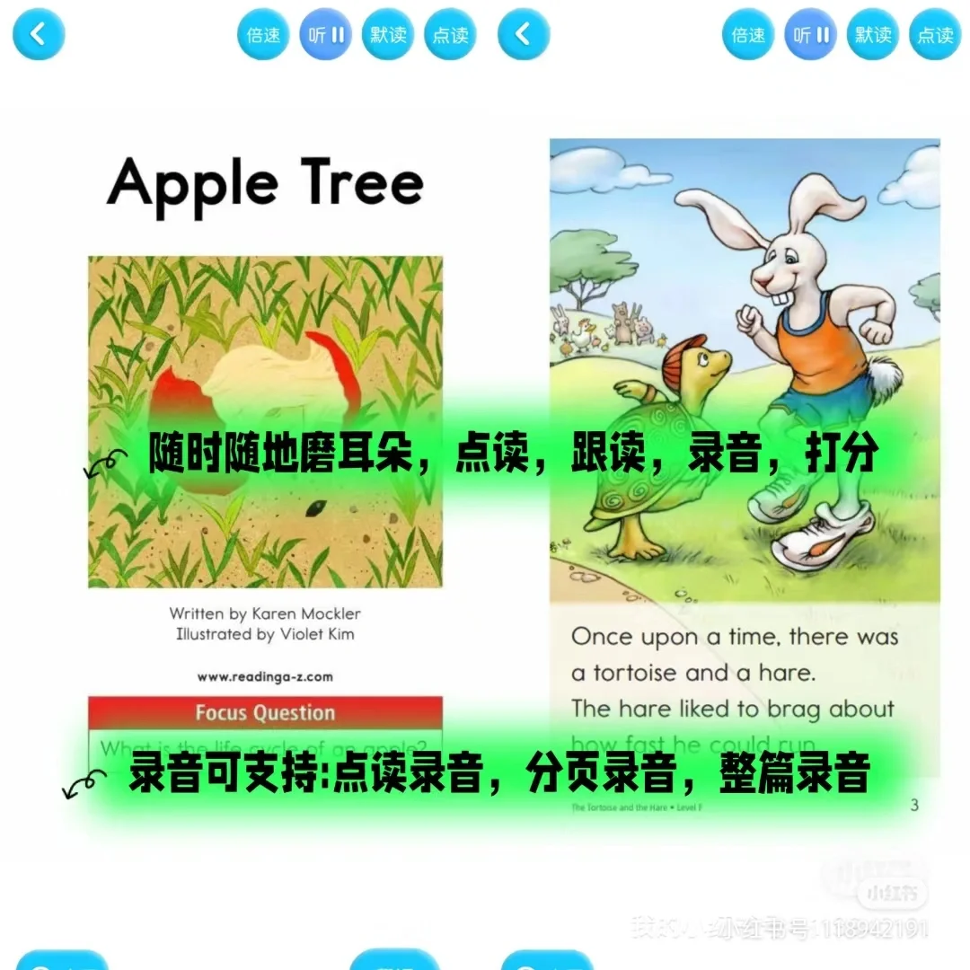 英语学习，有这一个APP就够了