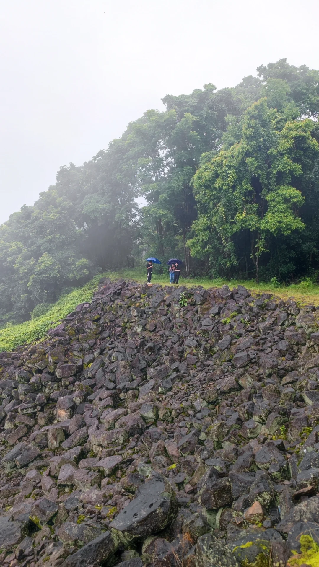 电影《龙林逃生3》继续看景中