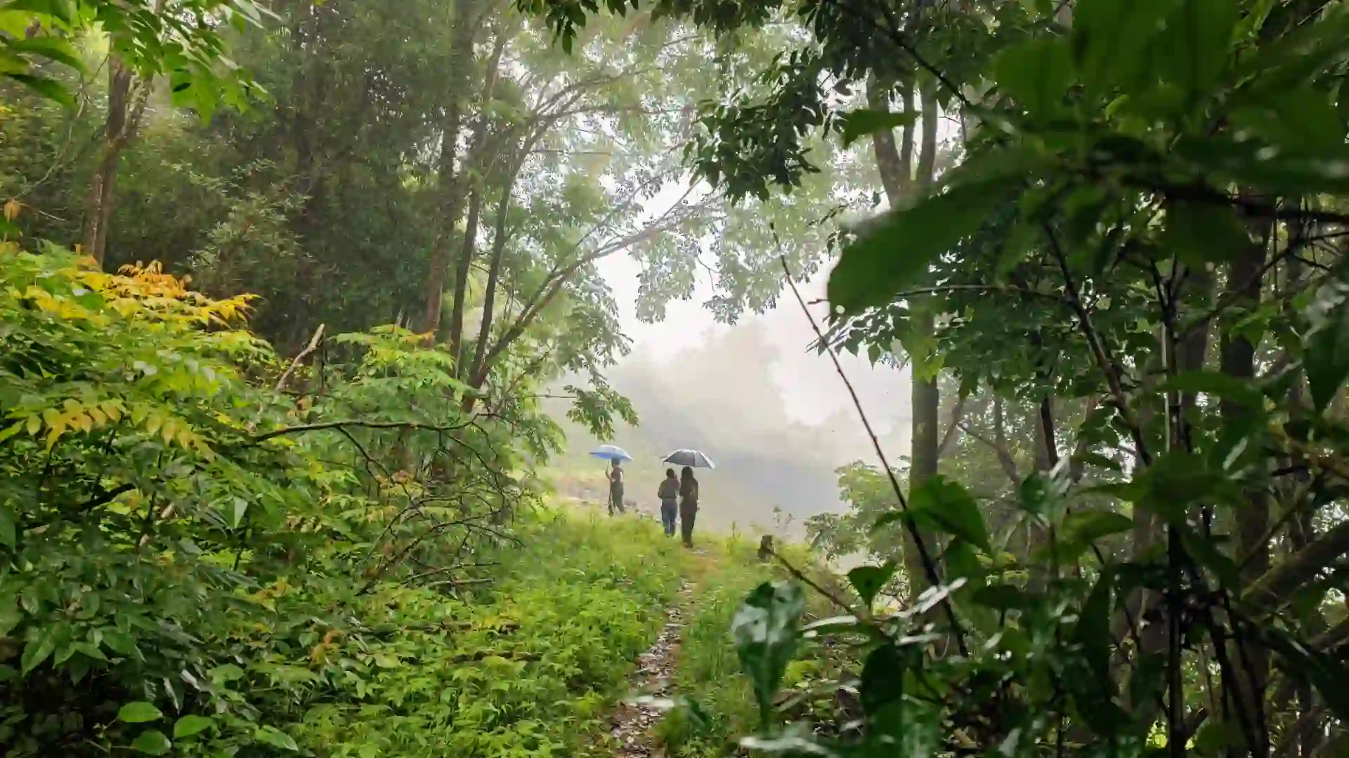 电影《龙林逃生3》继续看景中